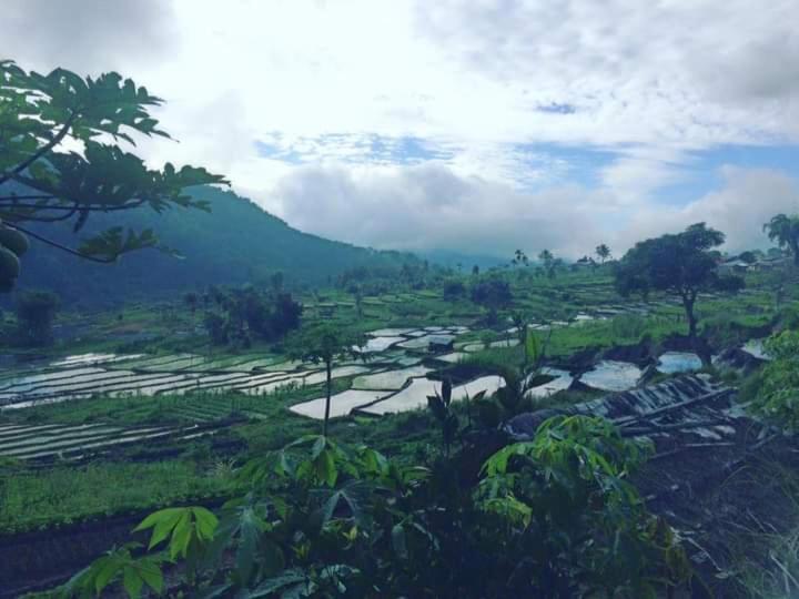 Wisma Kelimutu إنده المظهر الخارجي الصورة
